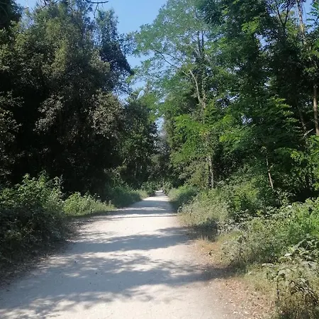 In Toskana Italie Nabij Zee, Strand, Airconditioning, Zwembad, Wifi Casa vacanze