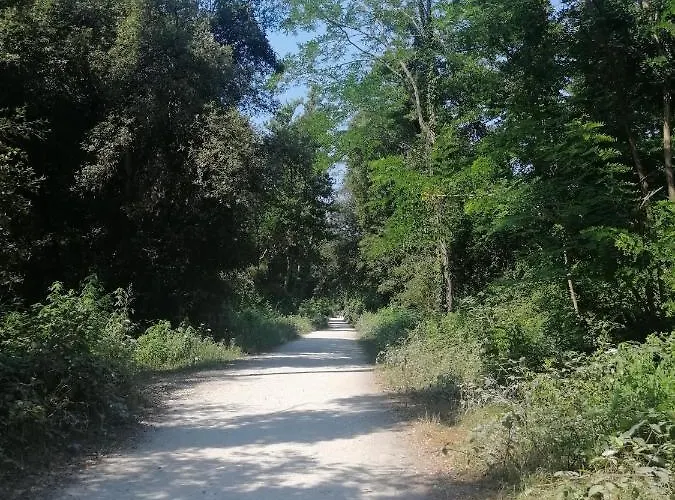 In Toskana Italie Nabij Zee, Strand, Airconditioning, Zwembad, Wifi Σπίτι διακοπών